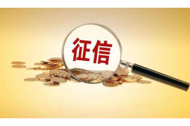 宜章如果欠债的人消失了怎么查找，专业讨债公司的找人方法